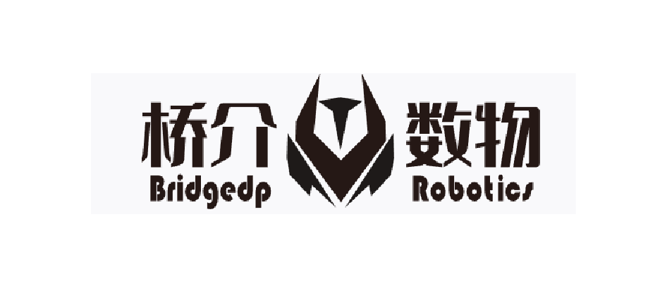 BridgeDP Robotics