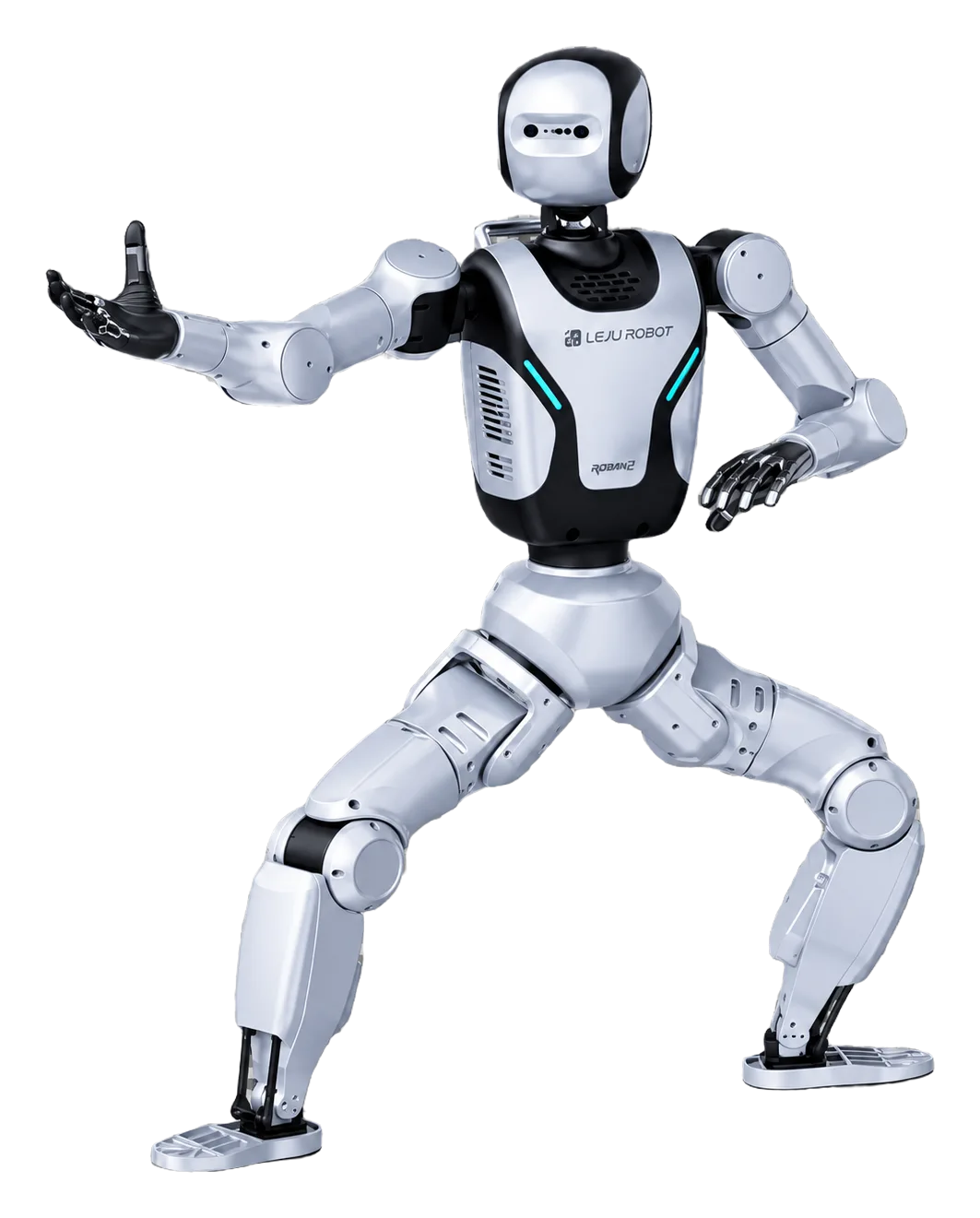 ROBAN