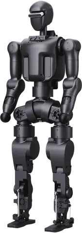 N1