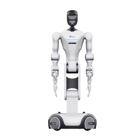 PsiBot_V1