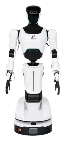 FORTIS W1