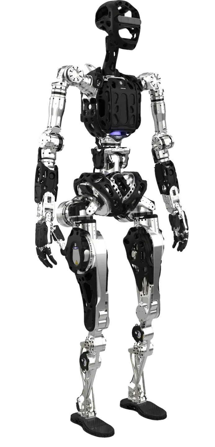 Adam SP