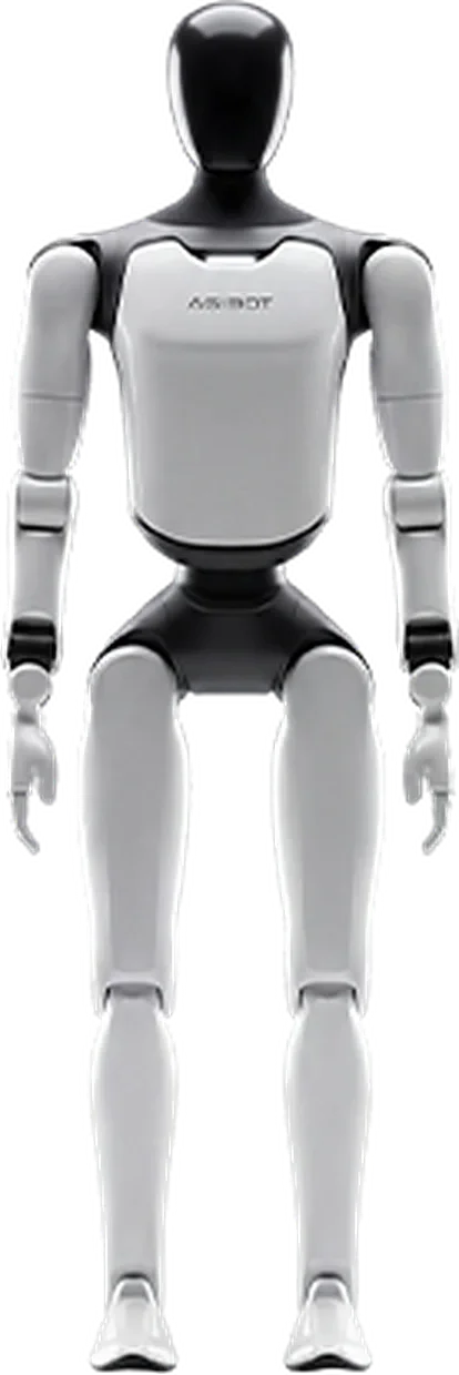 A3