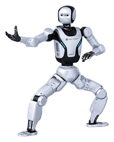 ROBAN