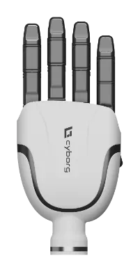 Cyborg-H02