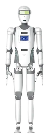 Biped Humanoid Robot