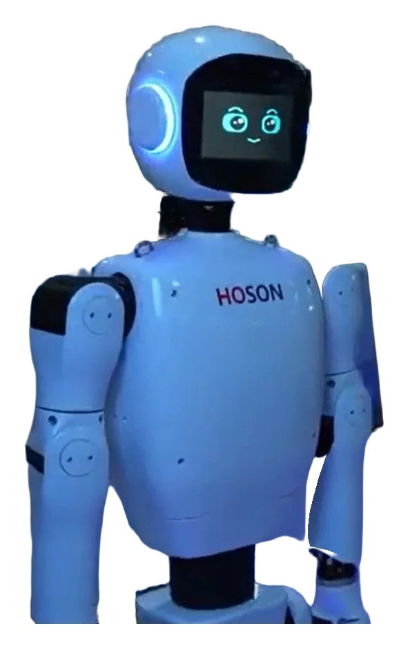 HOSON-Robot