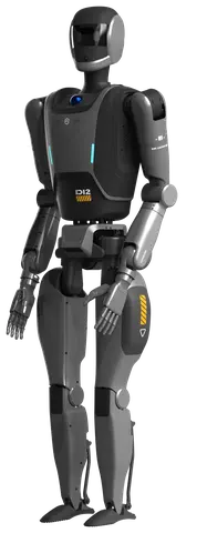 Dasheng D12