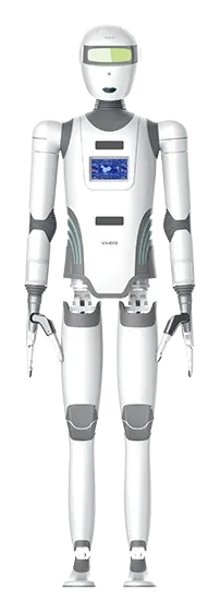 Biped Humanoid Robot