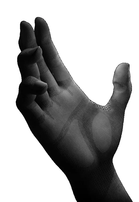 Wuji Hand 2