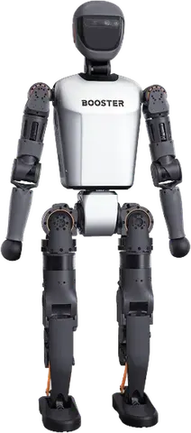 T1