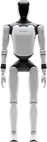 A3