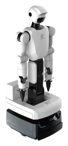 Wheeled Dual-arm Humanoid Robot