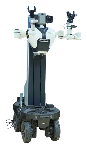 T12