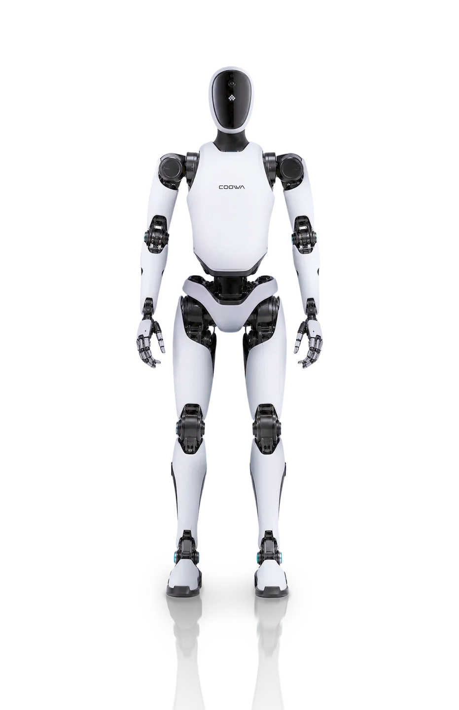 N1