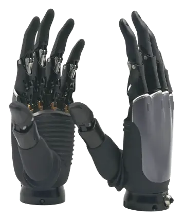 ROH-AP002