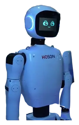 HOSON-Robot
